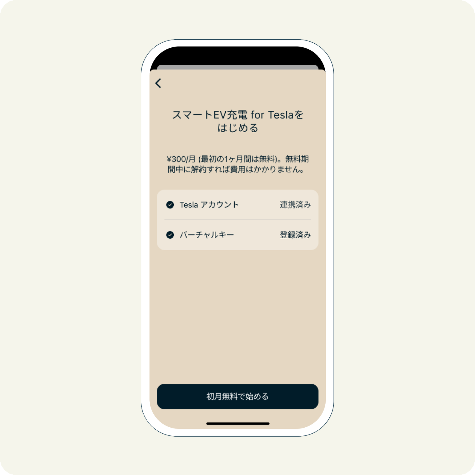 Teslaアカウントとバーチャルキーの設定を終えた購入画面
